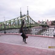 2017 HUNGARY Budapest Liberty Bridge 1896 over Danube